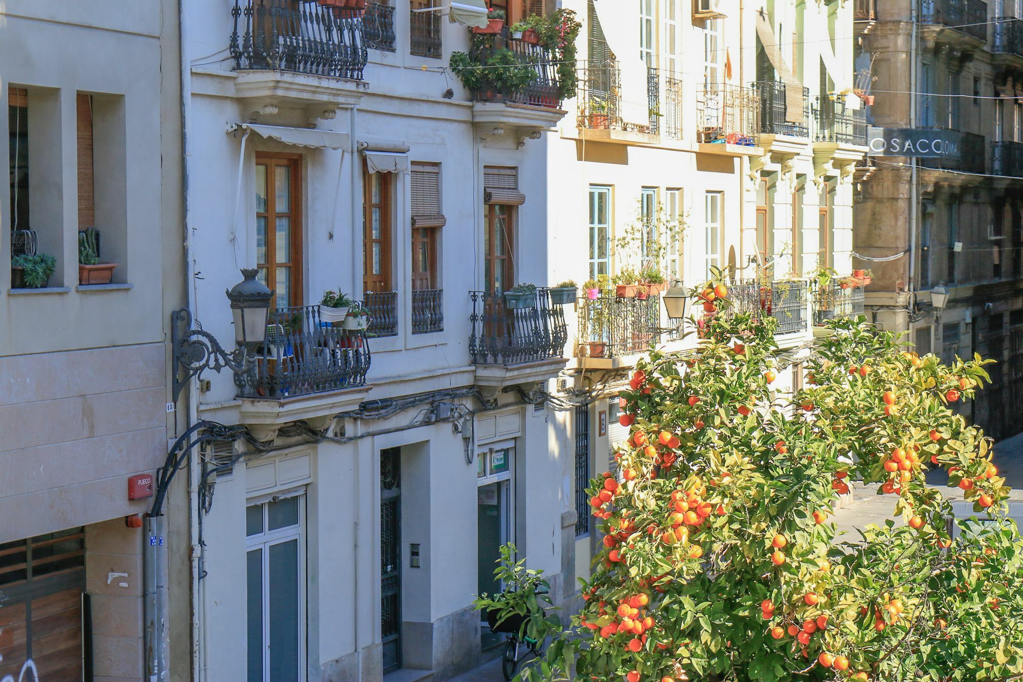 Ecobet Apartments Valencia Exterior photo